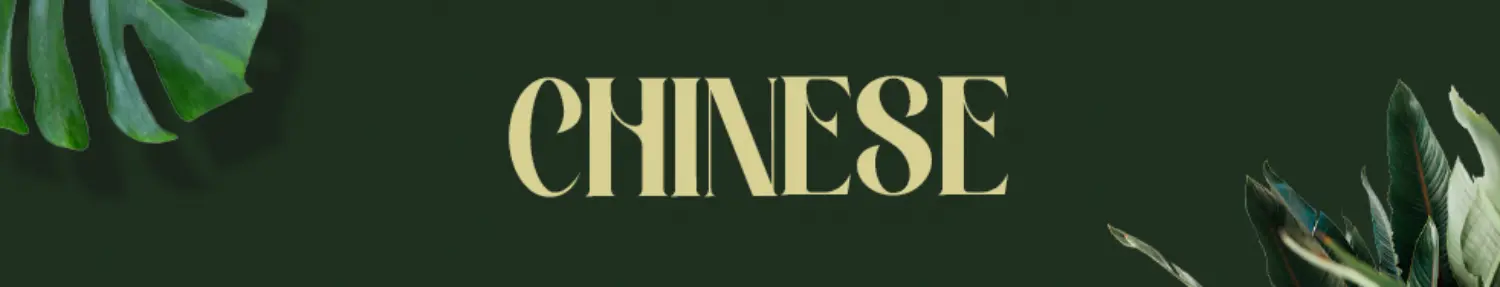 Banner Chinese